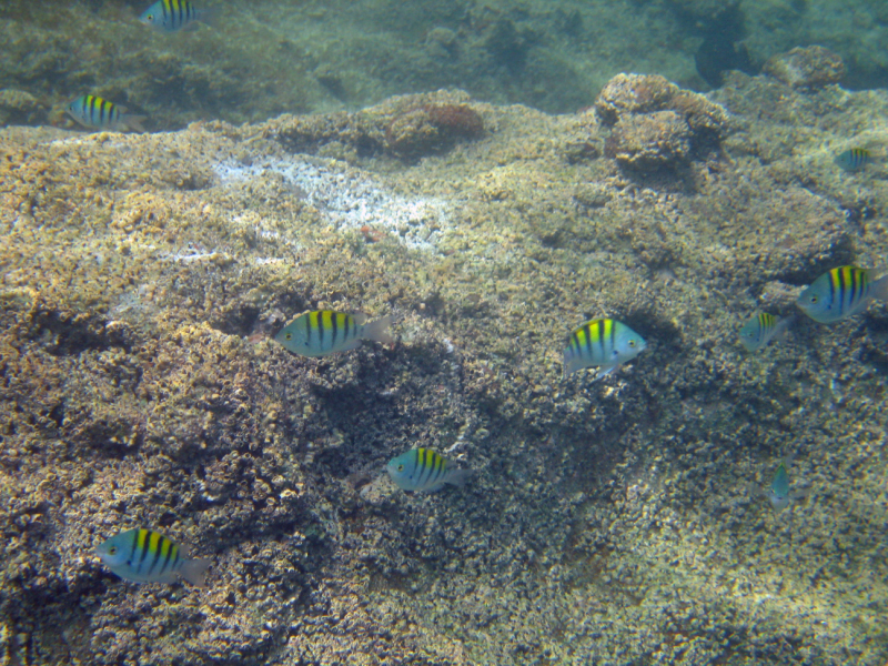 IMG_3110_edited-1