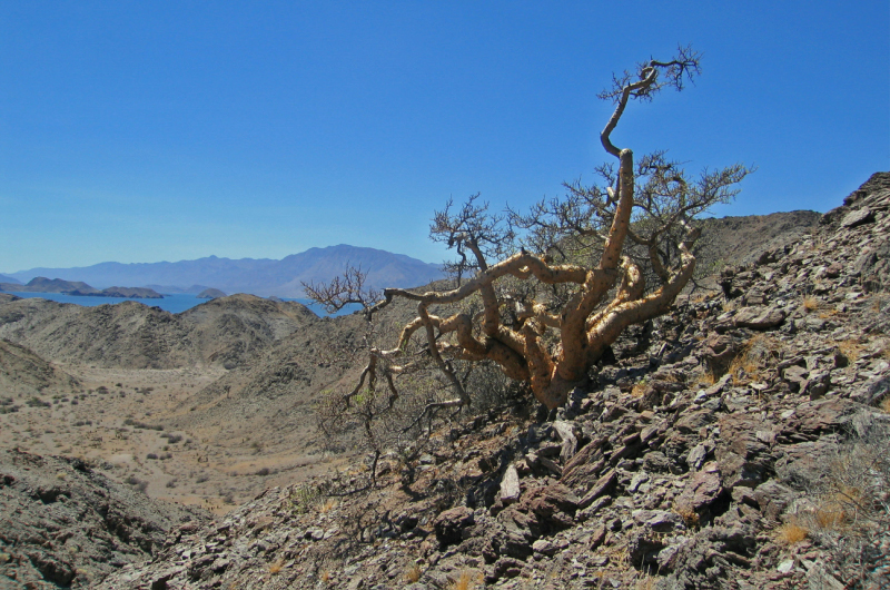 IMG_3214_2_edited-1