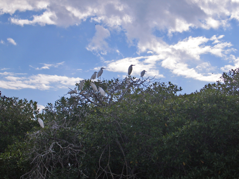 IMG_3572_edited-1