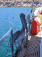 IMG_3065_edited-1