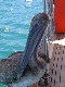 IMG_3068_edited-1