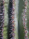 IMG_3095_edited-1