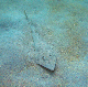IMG_3121_2_edited-1