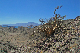IMG_3214_2_edited-1