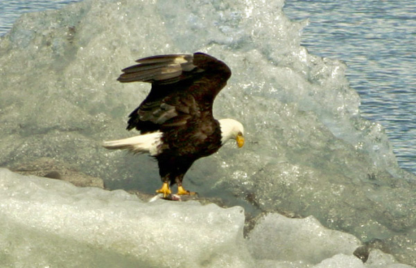 147_4756_edited-1
