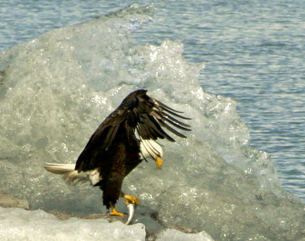 147_4757_edited-1