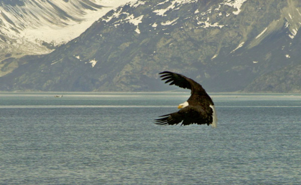 147_4768_edited-1