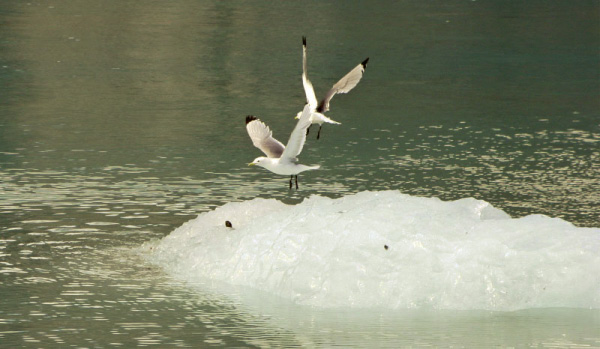 147_4797_edited-1