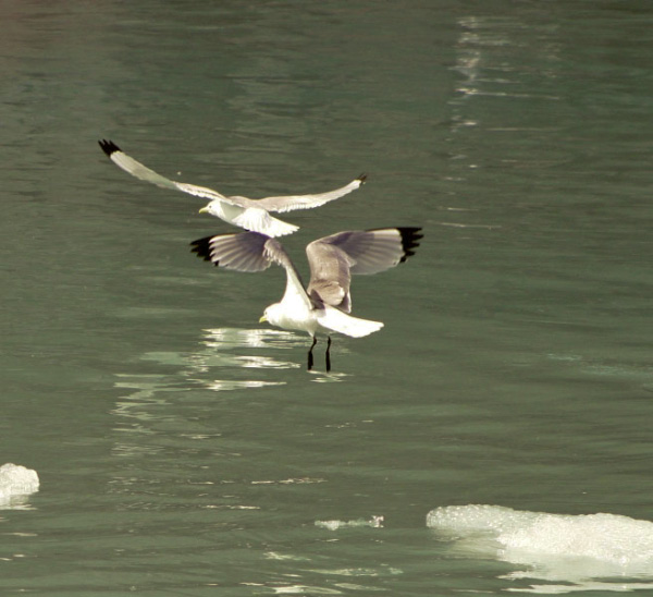 148_4824_edited-1