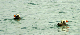 145_4554_edited-1