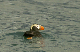 145_4555_edited-3