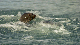 146_4601_edited-1