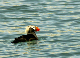146_4621_edited-1