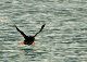 146_4623_edited-1
