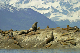 146_4626_edited-1