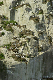 146_4640_edited-1