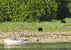 147_4718_edited-1