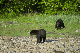 147_4724_edited-1