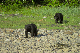 147_4725_edited-1