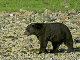 147_4729_edited-1