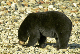147_4732_edited-1