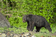 147_4736_edited-1