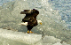 147_4756_edited-1