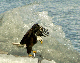 147_4757_edited-1