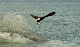 147_4765_edited-1