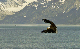 147_4768_edited-1