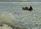 147_4769_edited-1