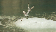 147_4797_edited-1