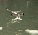 148_4824_edited-1