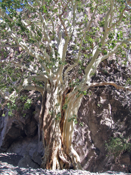 IMG_2748_edited-1