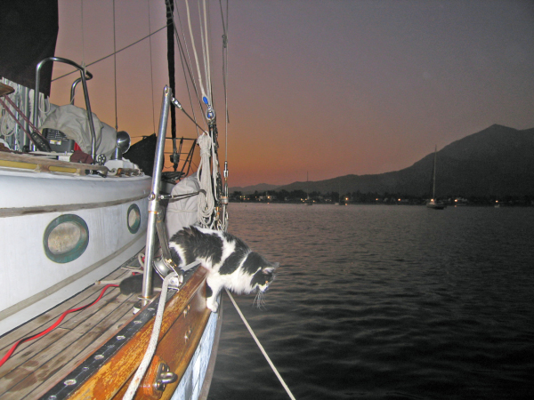 IMG_3695_edited-1