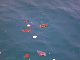 IMG_2611_edited-1