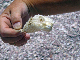 IMG_2626_edited-1