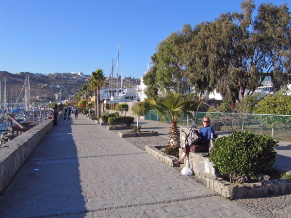 IMG_2024_edited-1