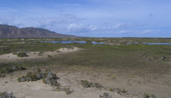 estuarybahiasantamaria