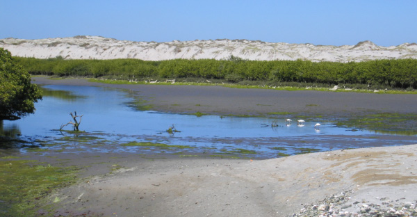 magbayestuary