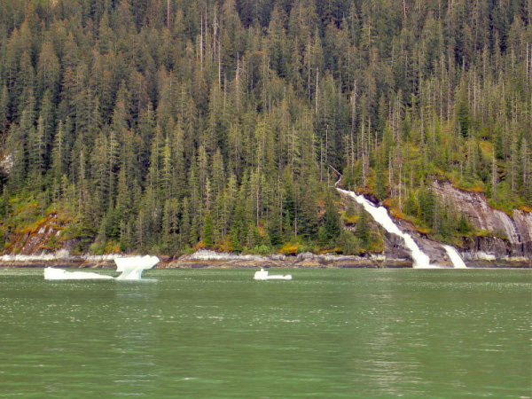 IMG_1004_edited-1
