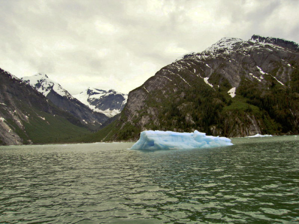 IMG_1011_edited-1