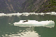 144_4459_edited-1