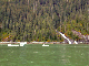 IMG_1004_edited-1