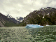 IMG_1011_edited-1