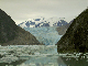 IMG_1045_edited-1