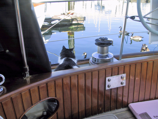 100_0005_edited-1