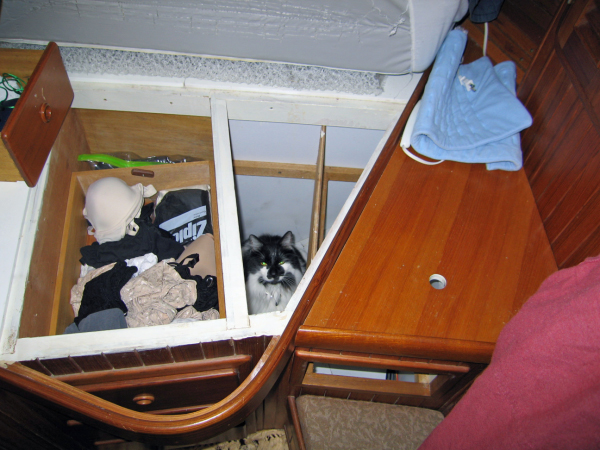 IMG_1902_edited-1
