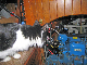 IMG_0302_edited-1