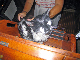 IMG_3052_edited-1